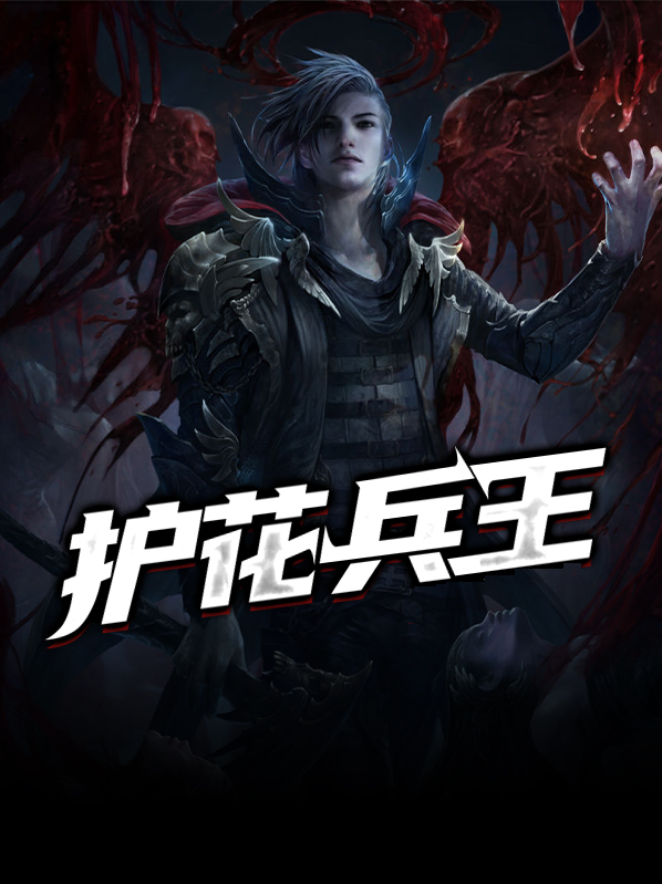 护花兵王叶凌风