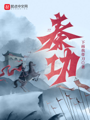 秦功小说在线阅读