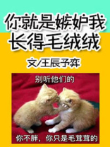 你就是嫉妒我长得毛绒绒的样子