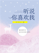 听说你喜欢我小说