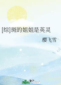 综斑的姐姐是英灵书包网