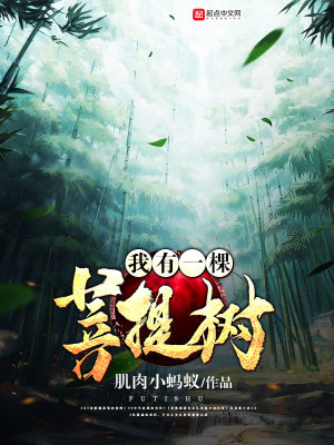 菩提树是一种什么树