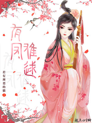 小说凤难求
