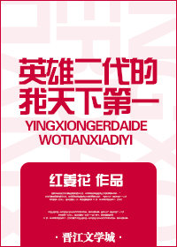冒险岛英雄天下第一图片