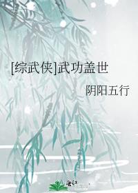 [综武侠]武功盖世 阴阳五行 小说下载