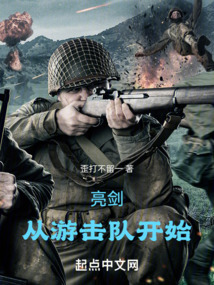 亮剑之铁血游击队