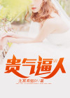 贵气的意思是什么