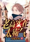 老高实在太霸气全文免费阅读