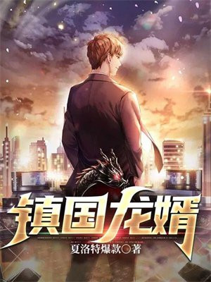镇国龙婿在线阅读
