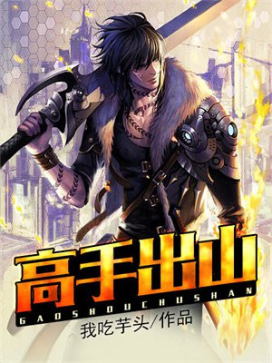 高手出山电影在线观看完整版