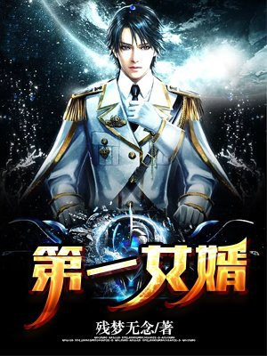 第一女婿小说免费下载