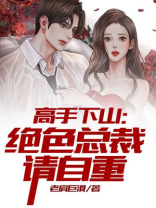 高手下山我的绝色总裁未婚妻平放