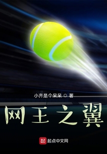网王之雨