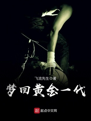 梦回金子小说