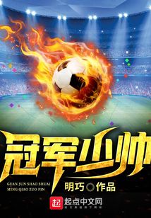 少帅获得的奖项