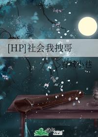 [hp]社会我拽哥 青城小巷讲什么