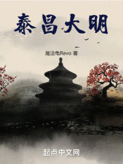 大明双龙泰昌帝