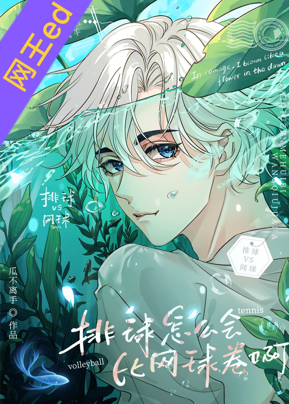 排球怎么会比网球卷啊百度云