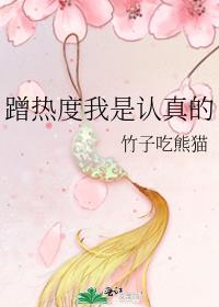 蹭热度我是认真的 小说