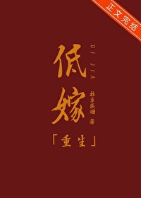 低嫁重生TXT资源