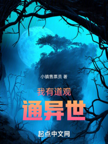 有道观小说
