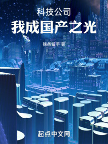 国产科技企业