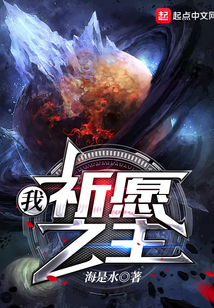 我,祈愿之主 小说