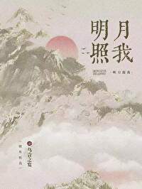 明月照我小说张元修免费阅读