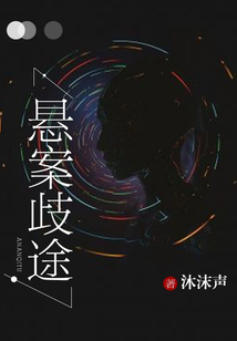 悬案歧途
