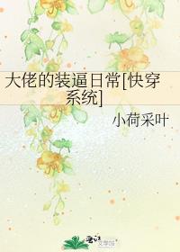 大佬的装日常快穿系统txt百度云
