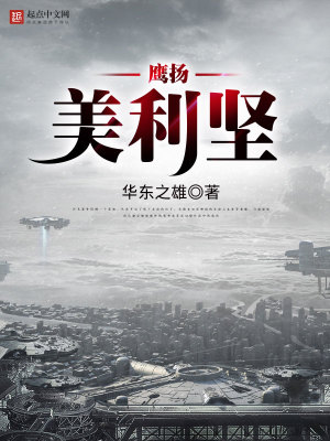 鹰扬美利坚 小说
