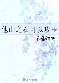 他山之石可以攻玉
