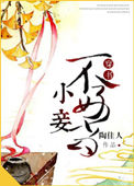 小妾不好当男主是谁
