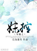 穿越之妹控 长沟落月晋江