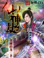 仙神劫小说