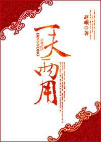 一夫两用网盘