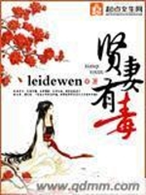 贤妻有毒小说