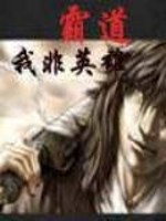 霸道之我非英雄全文阅读