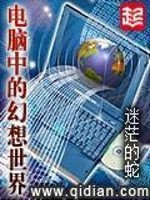 电脑中的幻想世界类似小说
