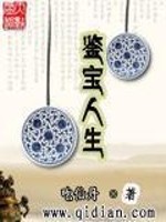 鉴宝人生txt百度网盘