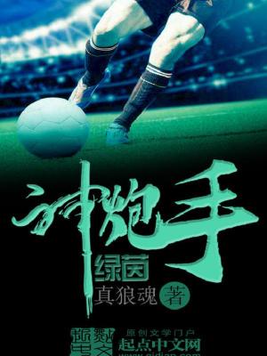 电视剧神炮手