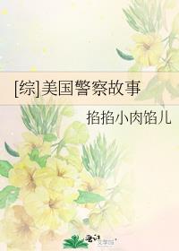 美国警察故事第一季