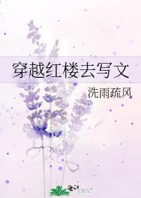 穿越红楼去写文 电子