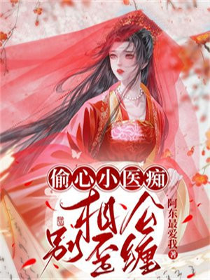 小说偷个相公来种田