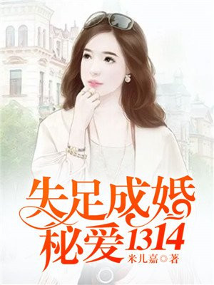 失足小说的简介