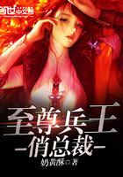 至尊兵王俏总裁苏城