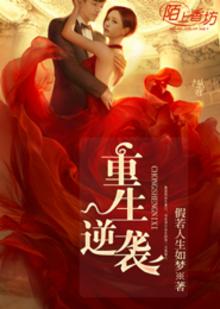 重生之逆袭娱乐圈完结版