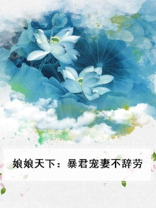 娘娘驾到,暴君宠妻无度 小说