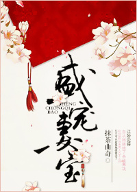 盛宠妻宝小说全文免费阅读