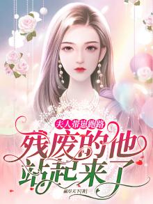 夫人又带娃跑了剧情